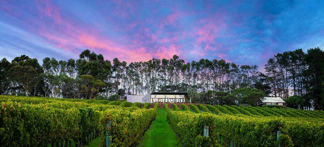 Hamelin Bay Wines grounds at dusk 